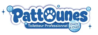 logo Pattounes